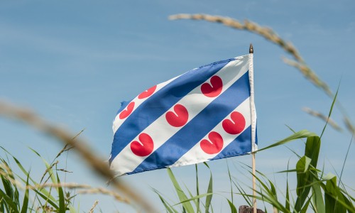 Elfstedenpad Friese Vlag.jpg