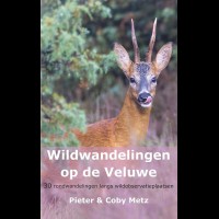Wildwandelingen op de Veluwe
