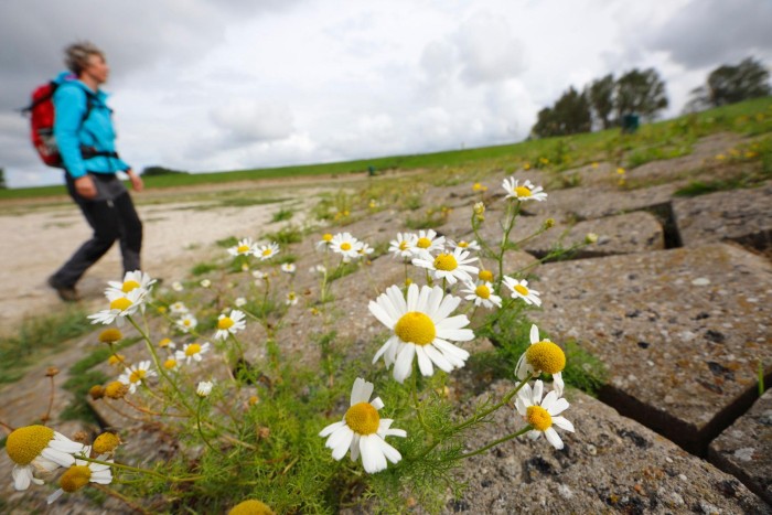 eiland-tholen
