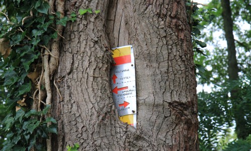 Markering.JPG