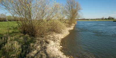 IJssel_Hanzestedenpad_Hoofdige_Boer.jpg