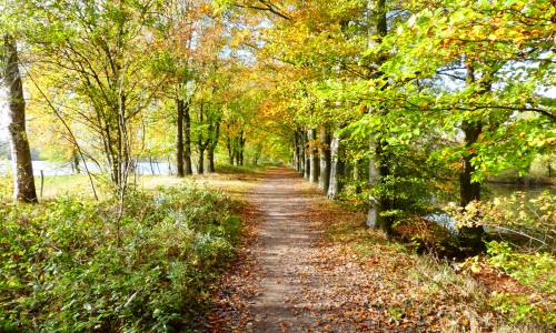 Zuidkant Leemkuilen © Dré Rennen.JPG