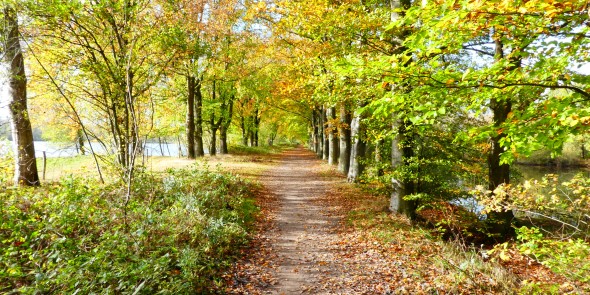 Zuidkant Leemkuilen © Dré Rennen.JPG