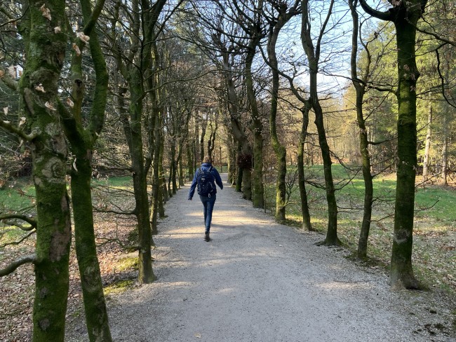 Bercau in het Baarnse Bos © Ernst Koningsveld