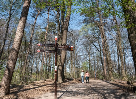 Omgeving Duivelsberg © Ad Snelderwaard