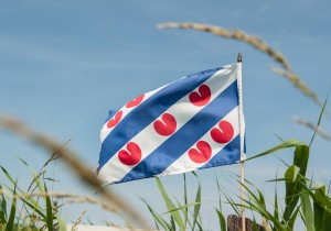 Elfstedenpad_etappe_07.jpg