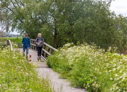 Wandelaars in het buitengebied © Esther Kuipers
