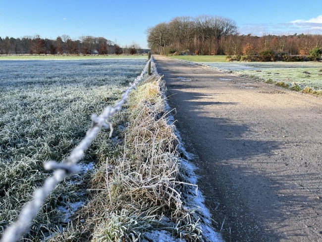 Net buiten Putte op weg naar het Moretusbos © Ernst Koningsveld