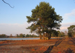 Twentepad_etappe_1.jpg