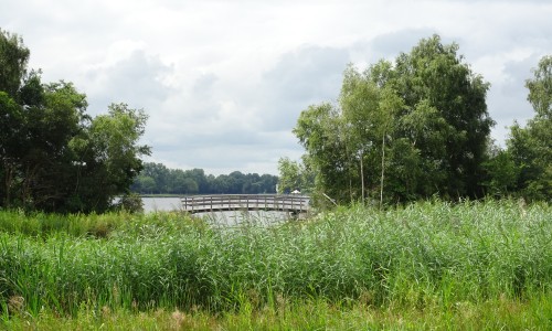 Bij het Paterswoldsemeer.JPG