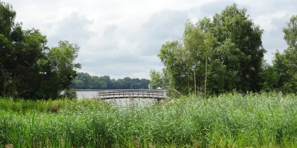 Bij het Paterswoldsemeer.JPG