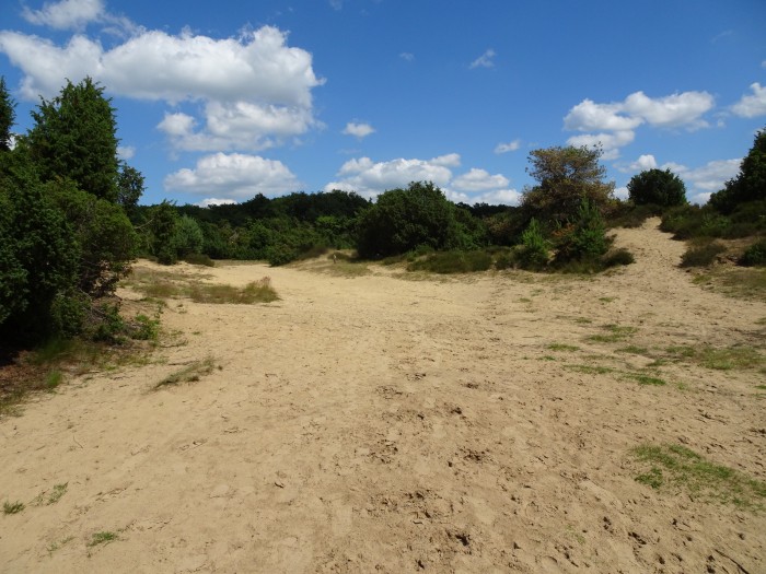 Hoogeveen Mantingerzand