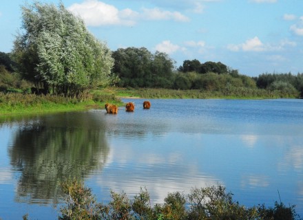 De omgeving van de IJssel © Ad Snelderwaard