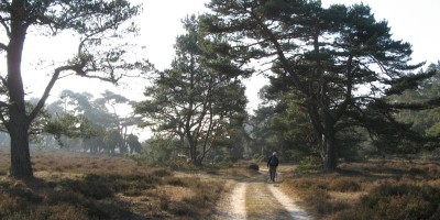 etappe 24.jpg