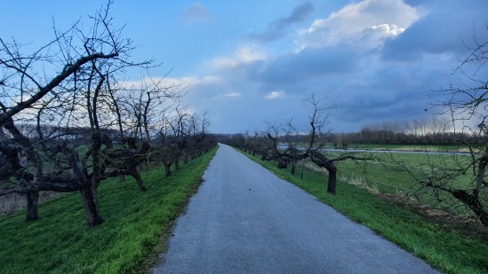 Rondje_Beesd_Appeldijk.jpg
