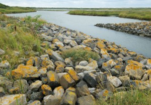 Streekpad_WaddenWandelen_etappe_Vlieland_1.jpg