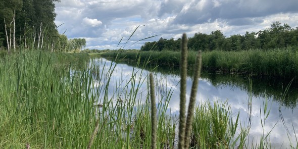 Nederland in Overijssel