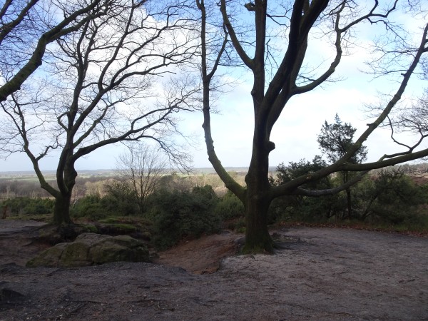 Uitzicht Lemelerberg