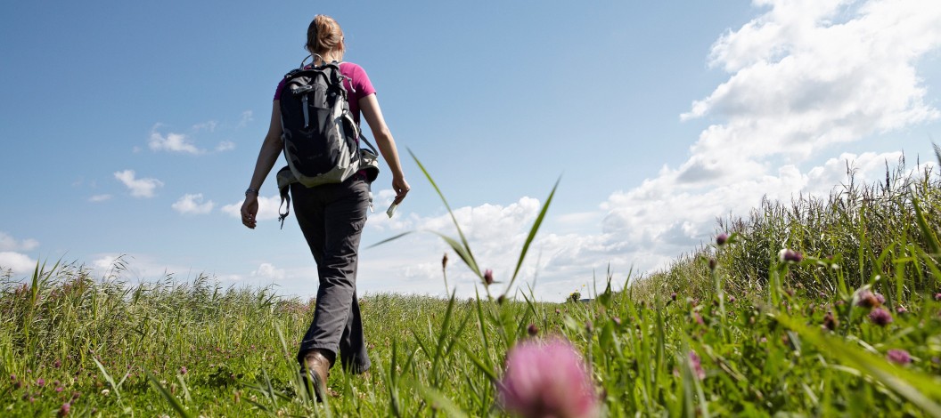 Wandelen in de hooivelden © Jonathan Andrew