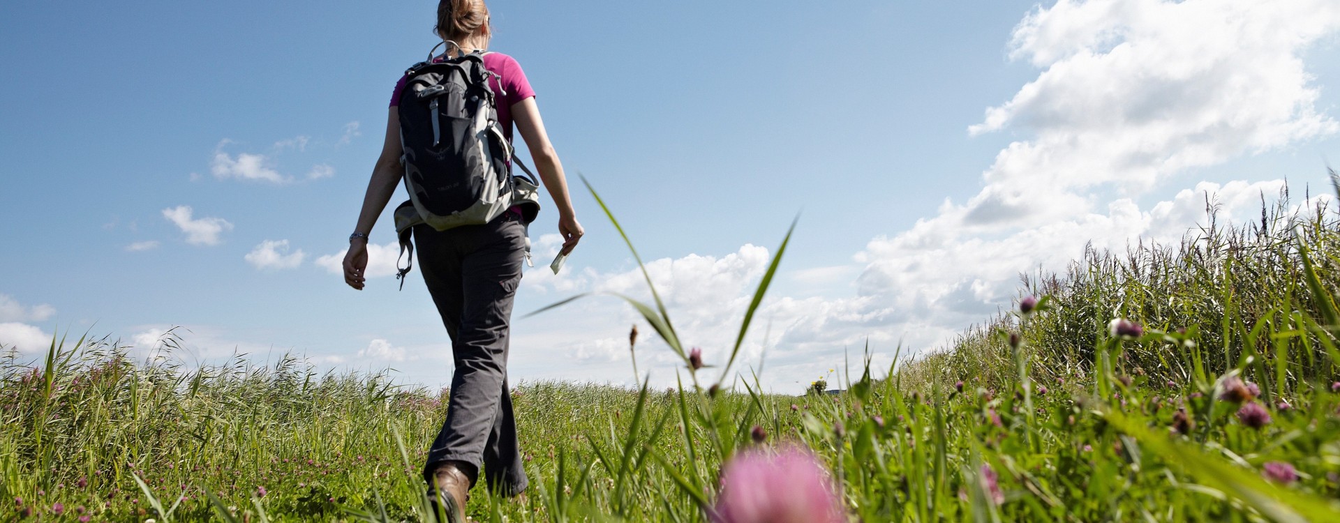 Wandelnet  Mooiste wandelroutes