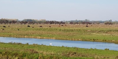 etappe 03.jpg