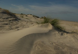 Streekpad_WaddenWandelen_etappe_Schiermonnikoog_3.jpg