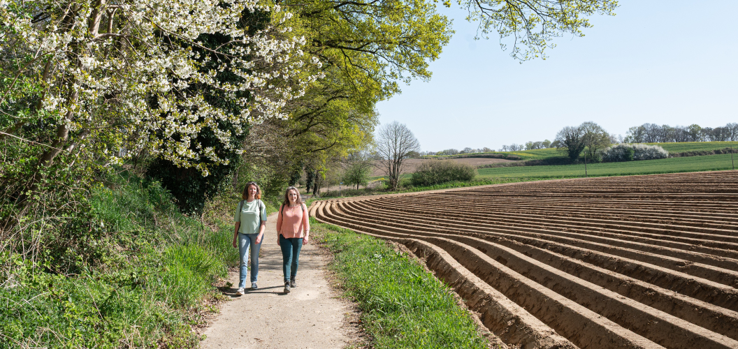 Wandelaars nabij Duivelsberg bij Berg en Dal © Ad Snelderwaard