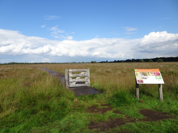 Vlonderpad Haaksbergerveen