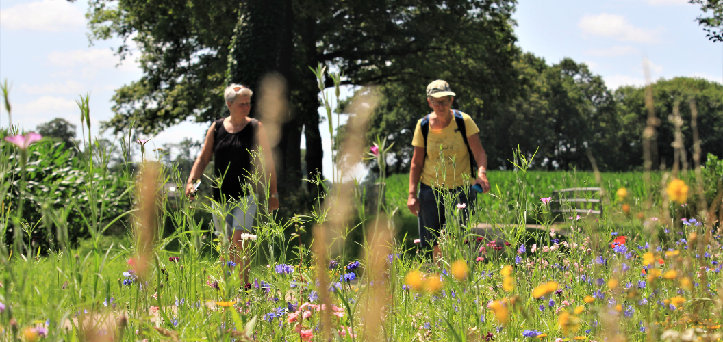 Wandelaars op het Graafschapspad. Foto door Ad Snelderwaard.