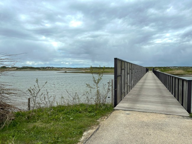 Wandelbrug in de Waterdunen © Ernst Koningsveld