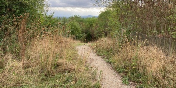 ecoduct Kruisberg.jpg