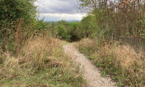 ecoduct Kruisberg.jpg