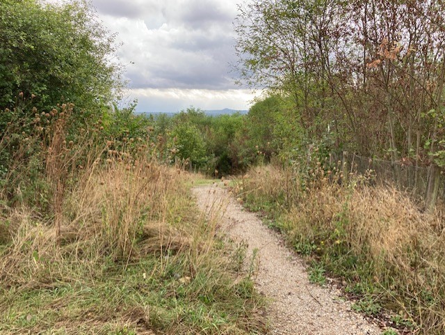 LangeAfstandWandelpaden LAWs  Wandelnet