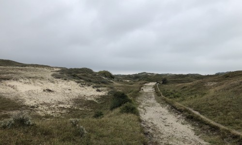 duinen.jpeg