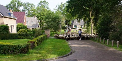 Drenthepad etappe 13.jpg