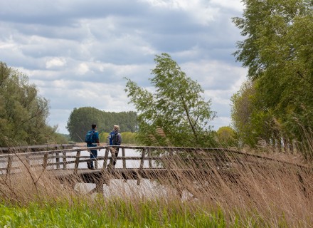 Wandelaars op een brug op het Biesboschpad