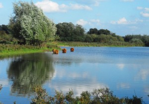 Duursche Waarden Olst.jpg