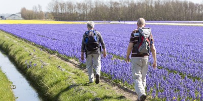 Ommetje Bollenstreek 02 – Bollen en zand