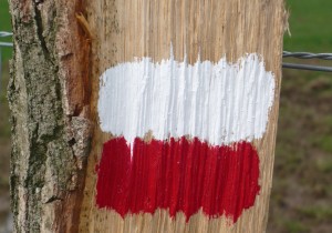 Markering_wit_rood.JPG