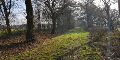 etappe 05.jpg