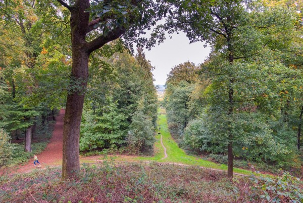 reichswald
