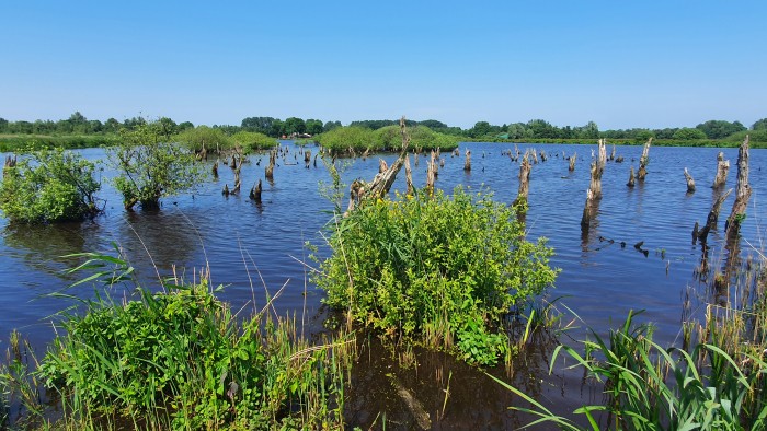 Ode aan het landschap NP Alde Faenen-2