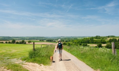 wandelaars_in_de_heuvels_2.jpg