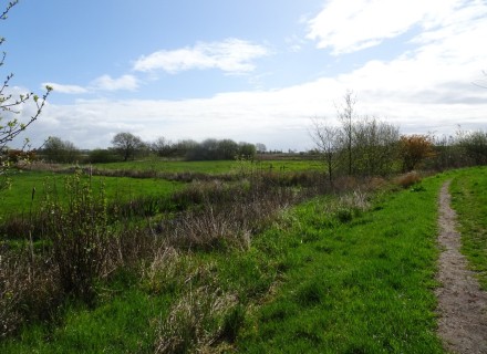 Laarzenpad door de Oosterpolder in Groningen. Foto: Marleen Lekkerkerk.