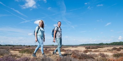 Nieuwsberichten-Wandelnet.jpg