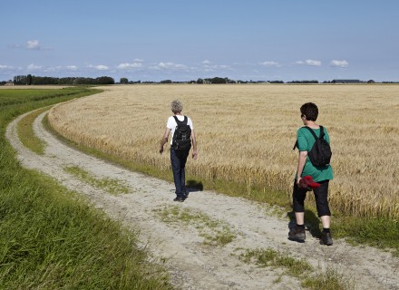 Wandelaars bij Heemstrawei