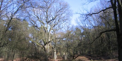 Veluwe Zwerfpad etappe 08