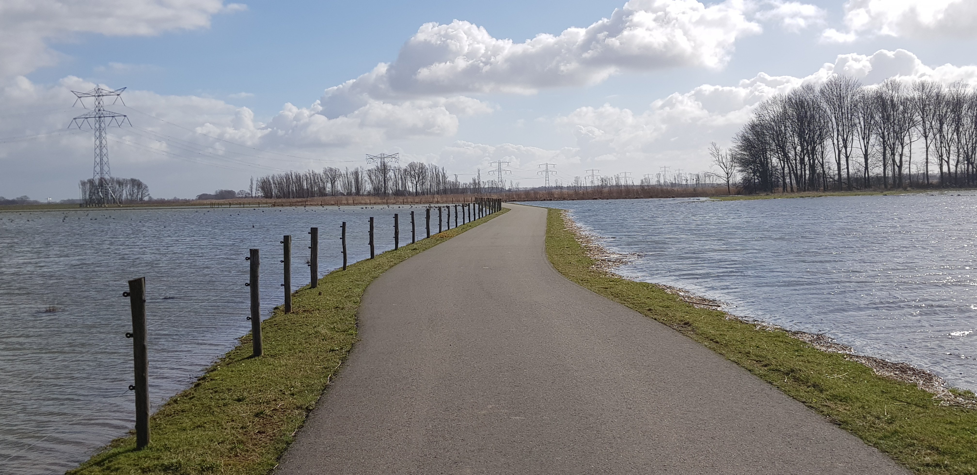 Noordwaard Polder.jpg