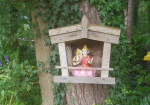 mindfull-wandelen.jpg