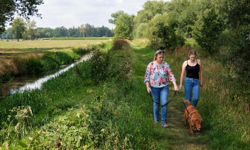 KempenBroek hoofdfoto 3 © Regionaal Landschap Kempen en Maasland.jpg